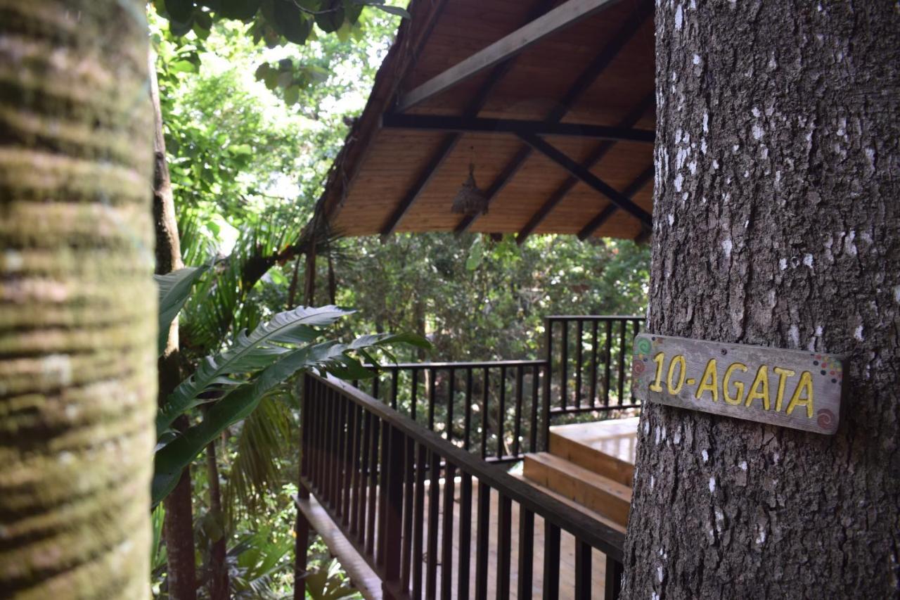 Ecohostal Rio Piedra El Zaino Extérieur photo